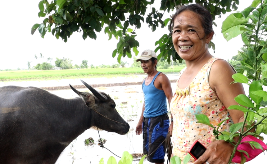 Maritess with the carabao given through Early Recovery Project